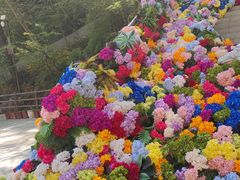 -秦岭天竺山生态文化旅游景区