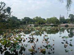 -无锡蠡湖国家湿地公园-蠡园