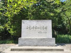 -白水寺森林公园