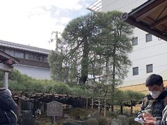 -中村藤吉(本店)