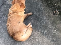 -会稽山峡洞漂流-上青古道