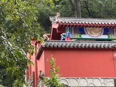-黔灵山公园