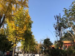 -天朝元辅-徐州民俗博物馆