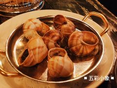 -金蜗牛