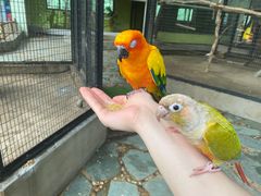 -北京野生动物园