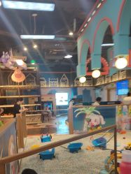 -卡通尼乐园(宝山龙湖天街店)