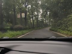 -广州市帽峰山景区