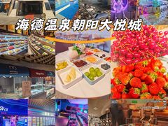 -海德温泉生活馆(朝阳大悦城店)