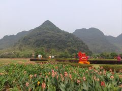-靖西鹅泉风景区