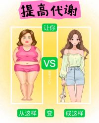 -Fundi张玉珊修身堂·indiba·BTL科技瘦身