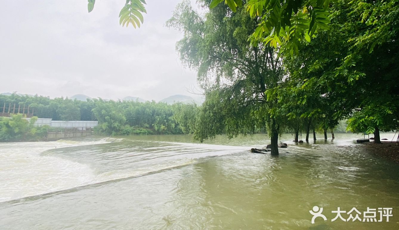 杭州持续暴雨，余杭双溪水位暴涨！原本的露营地全部被淹了！ 