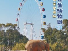 -上海野生动物园