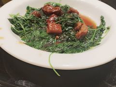 草头圈子-新南华大酒店(长寿店)