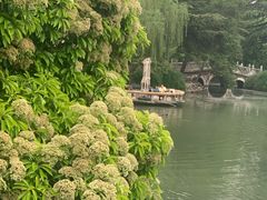 -西苑公园