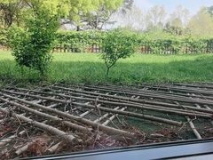 -潮府馆·非遗潮州菜·港式点心(世纪公园店)