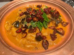 -柿合缘新京菜(国金中心商场店)