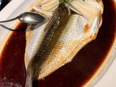 -宁波柏悦酒店·钱湖渔港