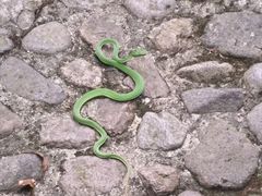 -宁波五龙潭景区