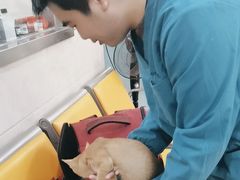 -动物缘宠物医院·骨科·猫科(西二环店)