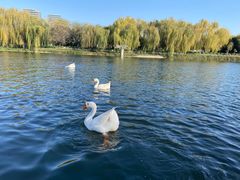 -西安汉城湖景区