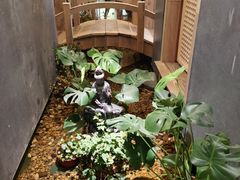 -邈墨茶馆(凤起路店)