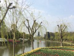iphone_upload_pic-上海鲜花港