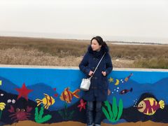 -南汇嘴观海公园