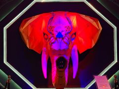 -疯克大象美式烤肉餐厅