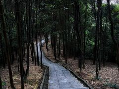 -火炉山森林公园