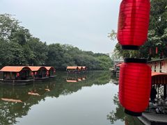 -侨美·唐荔园·40年地道粤菜