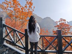 -狼牙山风景区