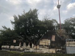 -胡里山炮台