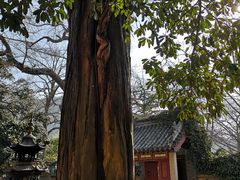 -青岛崂山太清宫