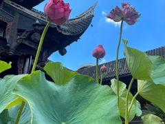 -自贡市盐业历史博物馆