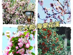 -元大都城垣遗址公园