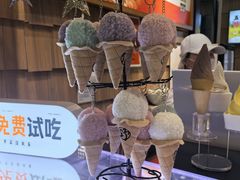 -野人先生现做冰淇淋(北京顺义祥云小镇店)
