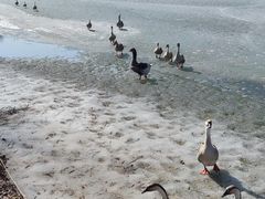 -沈阳鸟岛