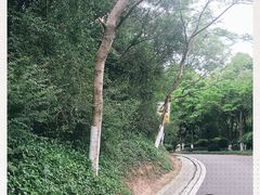 -八仙山公园