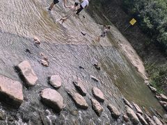 -北仑森林植物园