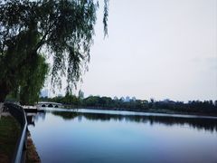 -武汉动物园