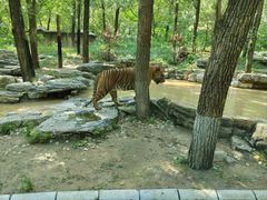 -北京野生动物园