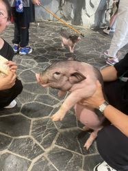 -Zoolung Zoolung动物主题公园(海信广场店)