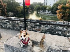 -东水关遗址公园