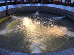 -上海外滩茂悦大酒店