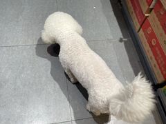 -小香港(凤凰大街店)