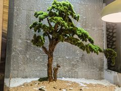 大堂-京城·森鸽排档(双井店)
