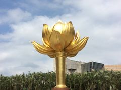 -金莲花广场