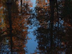 -白鹭湾湿地公园