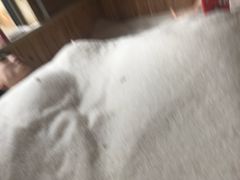 -咸宁万豪温泉谷度假区