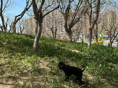 -小意思咖啡店(草桥店)